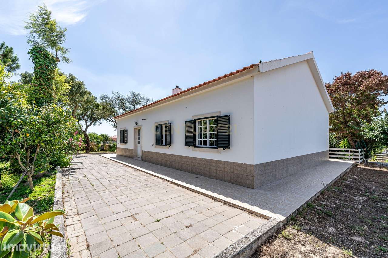 Oportunidade Única: Quinta dos Pinheiros em Palmela - Grande imagem: 2/20