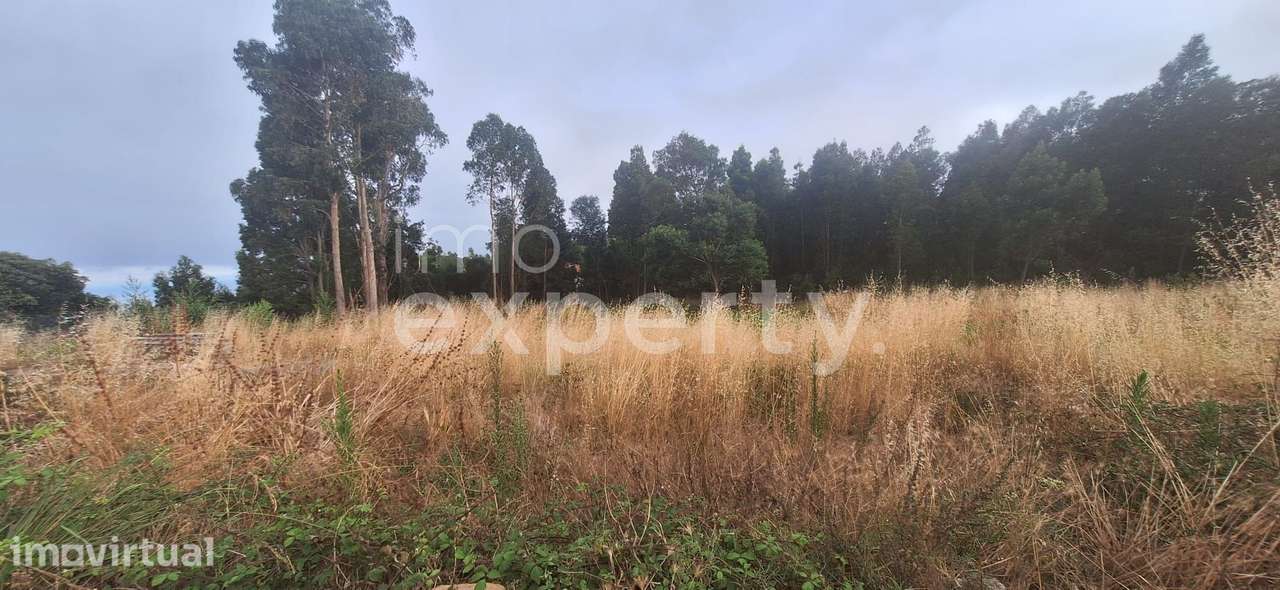 Terreno com 4940 m2 no sítio da Achada Rocha, Gaula, Madeira - Grande imagem: 4/12