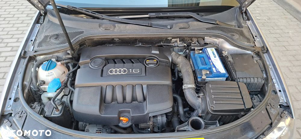 Audi A3 3-drzwiowe 1.6 Ambiente - 28