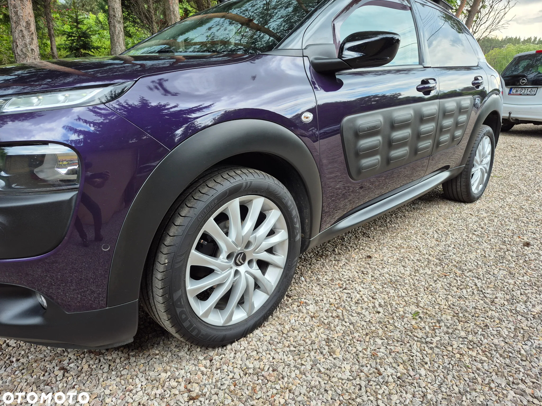 Citroën C4 Cactus 1.6 BlueHDi Shine - 10
