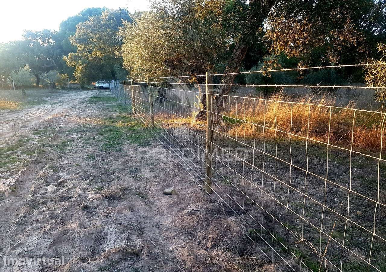 TERRENO RUSTICO COM VIABILIDADE DE CONSTRUÇÃO - Grande imagem: 2/8
