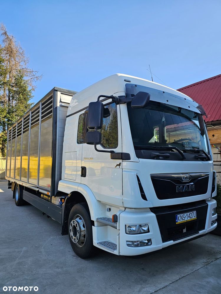 MAN TGM 12.290 - 1