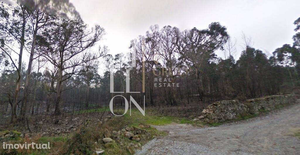 Alerta Investimento, terreno com capacidade construtiva! - Grande imagem: 3/7