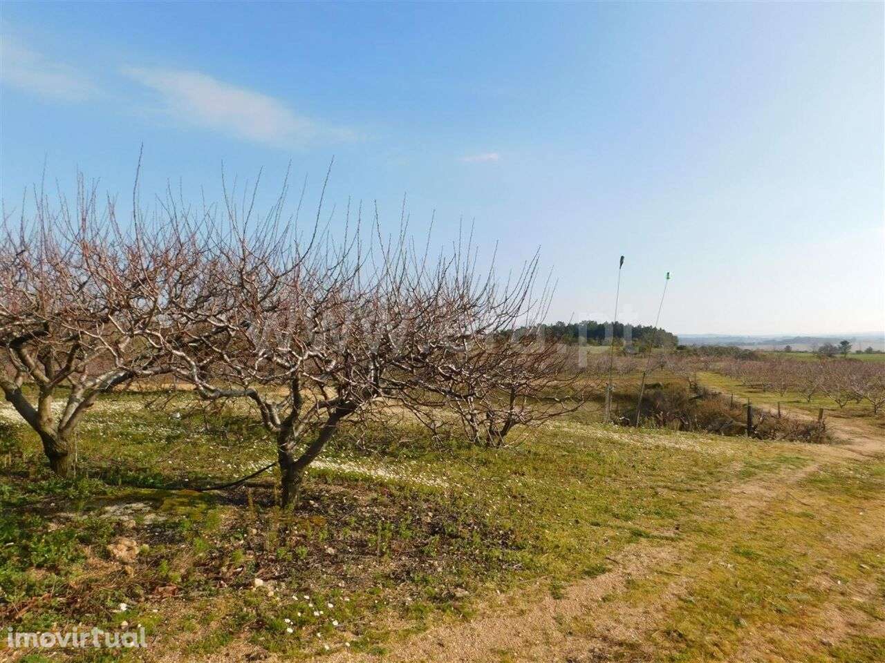 Quinta / Fundão, Catrão - Grande imagem: 4/4