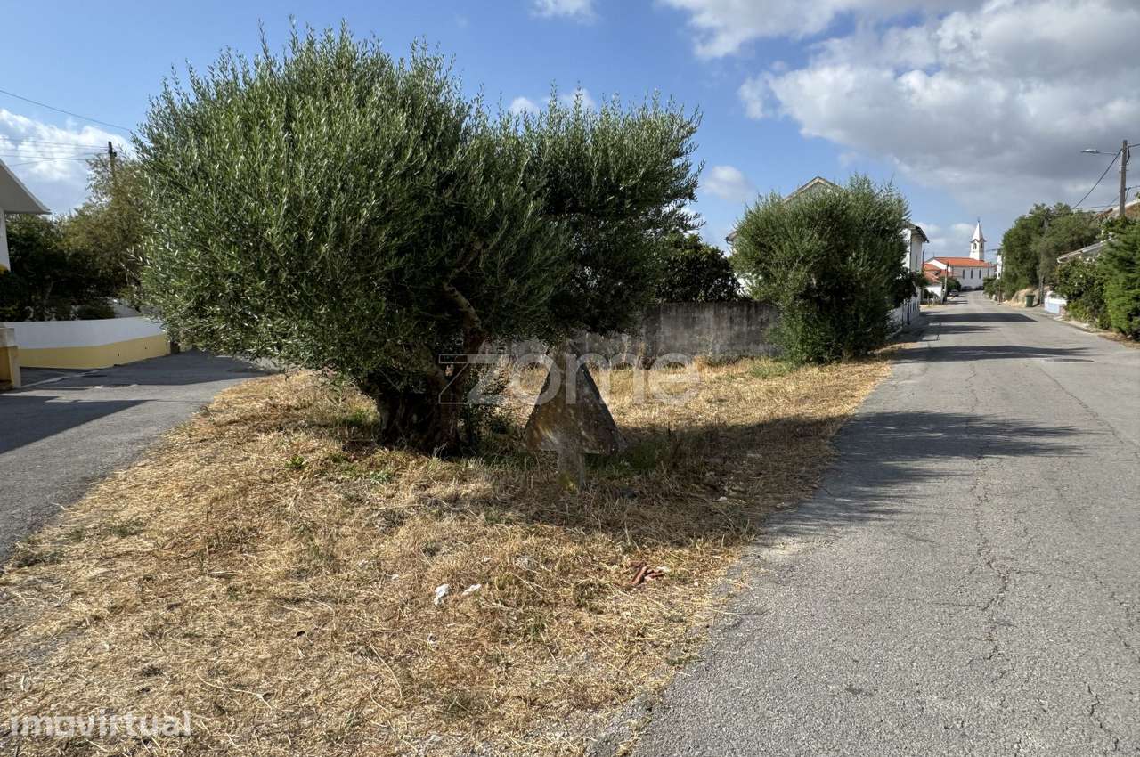 Terreno Urbano para construção. - Grande imagem: 4/12