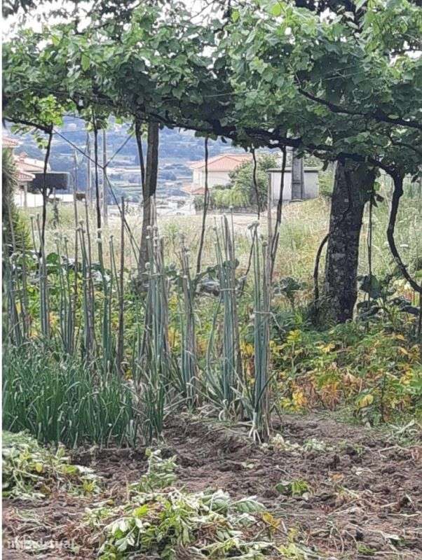 Terreno  para venda - Grande imagem: 3/6