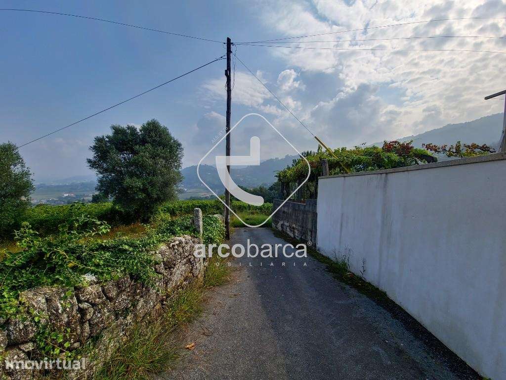 Terreno agrícola com vinha produtiva em Gondufe - Ponte de Lima - Grande imagem: 3/6