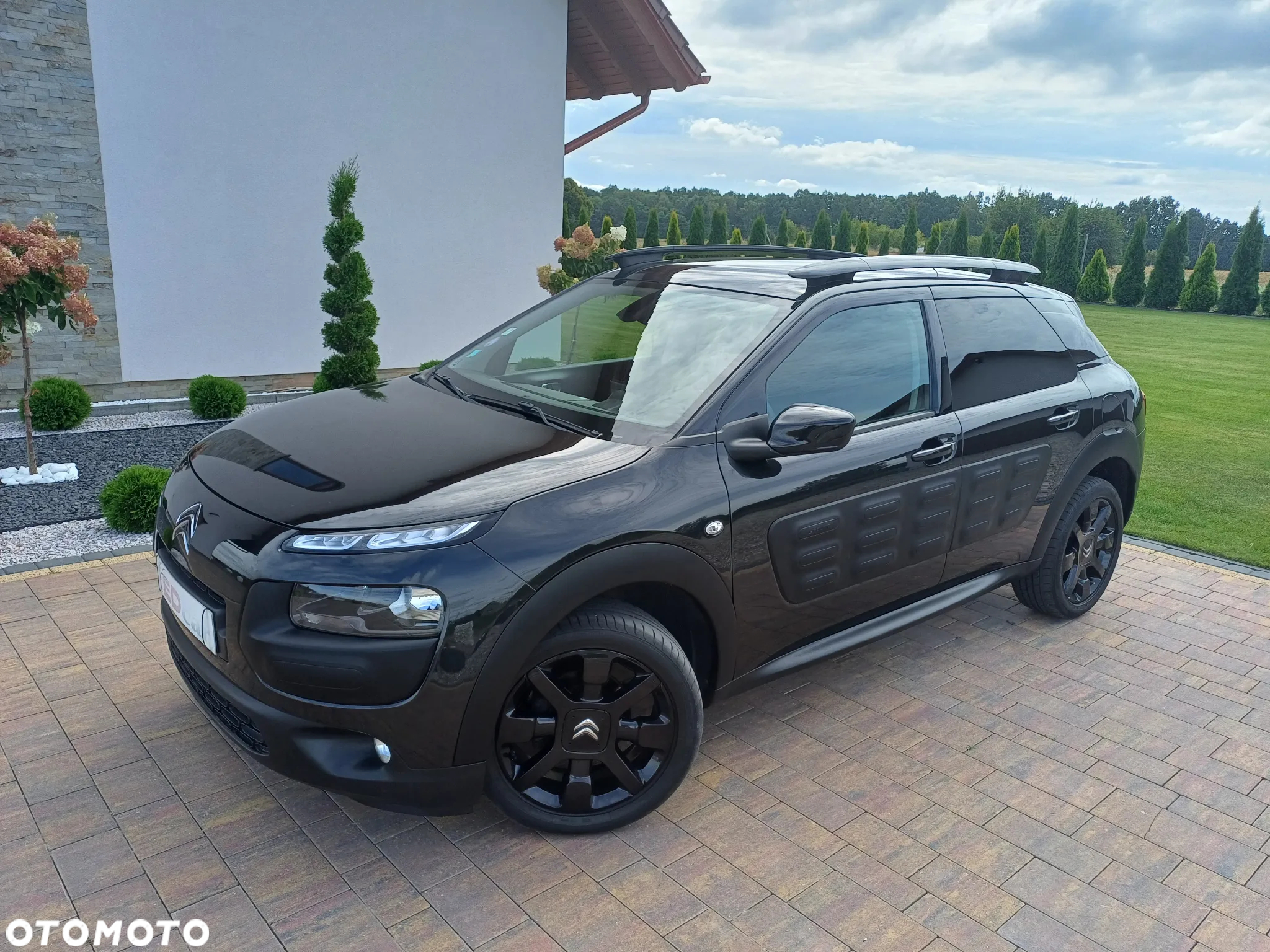 Citroën C4 Cactus 1.2 PureTech Shine - 6