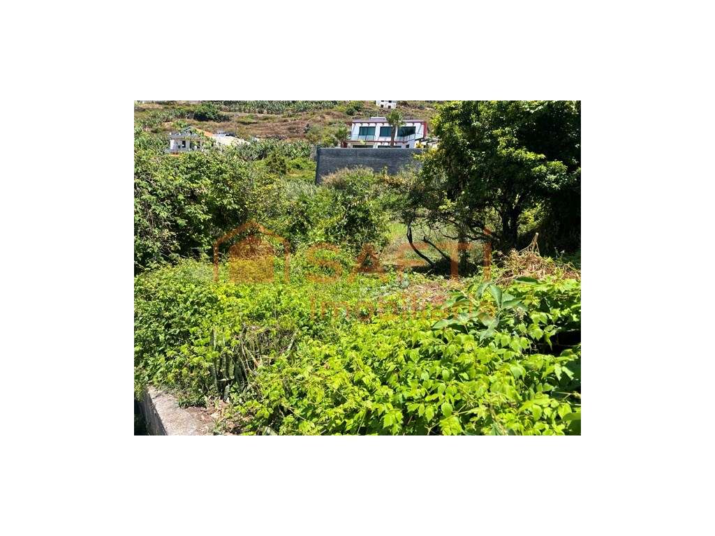 Moradia à Venda na Ribeira Brava com Vista Mar - Grande imagem: 3/34