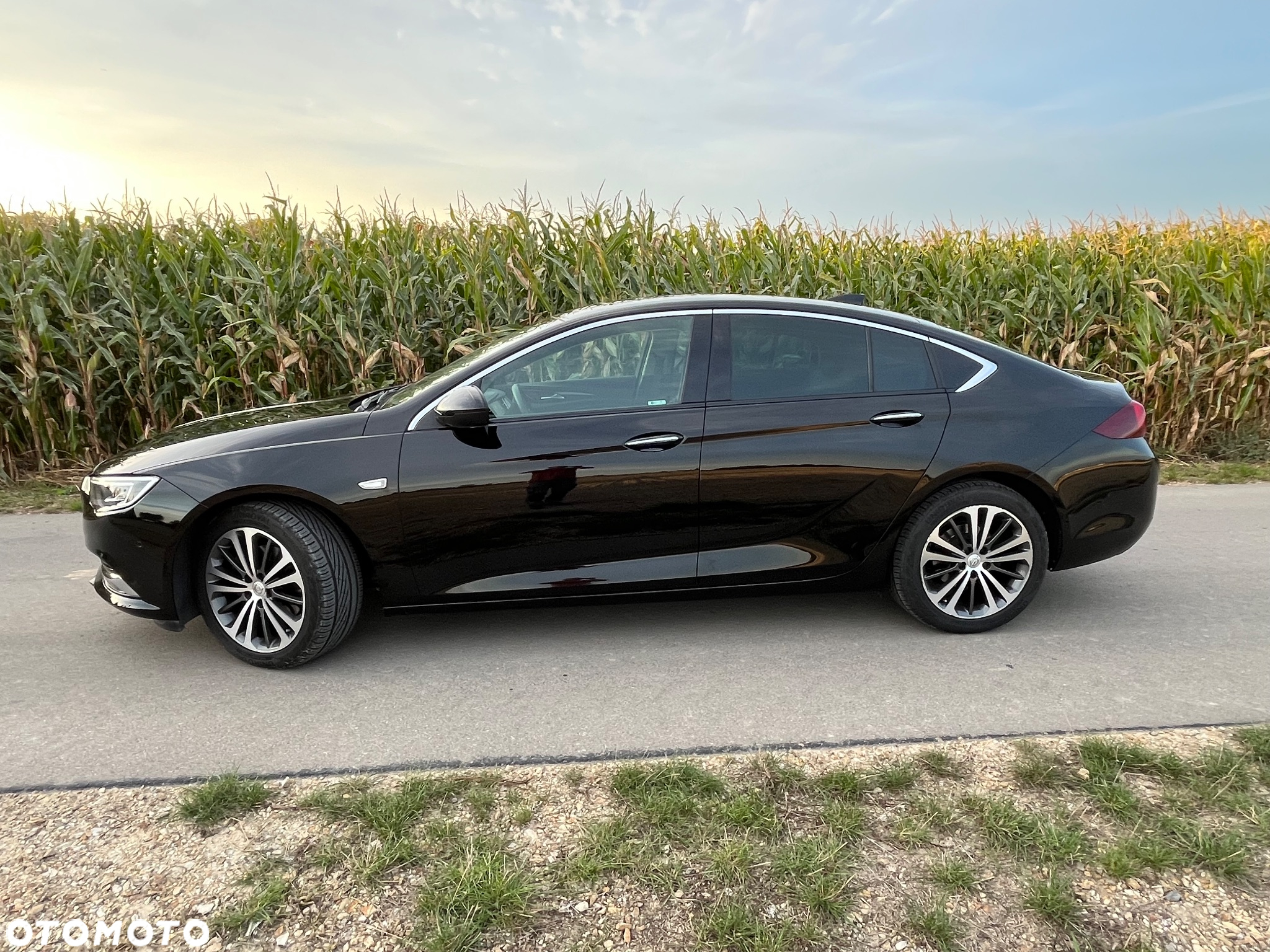 Opel Insignia 2.0 CDTI 4x4 Exclusive S&S - 3