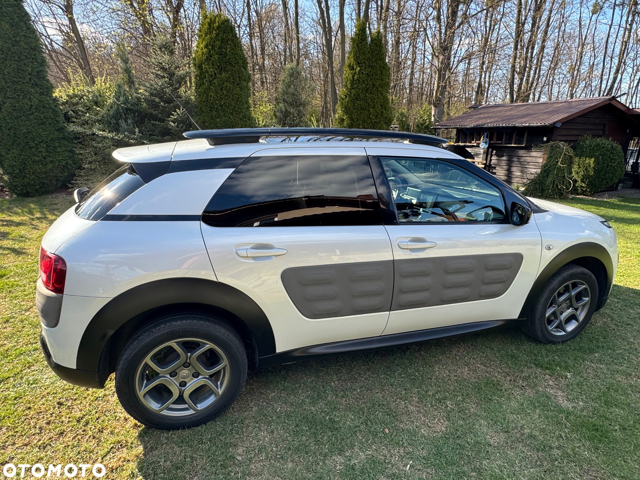 Citroën C4 Cactus BlueHDi 100 Stop&Start Shine - 16
