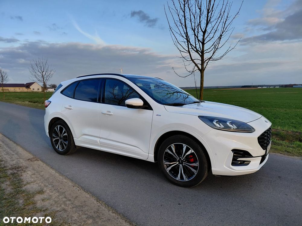 Ford Kuga 2.0 EcoBlue AWD ST-Line X - 6