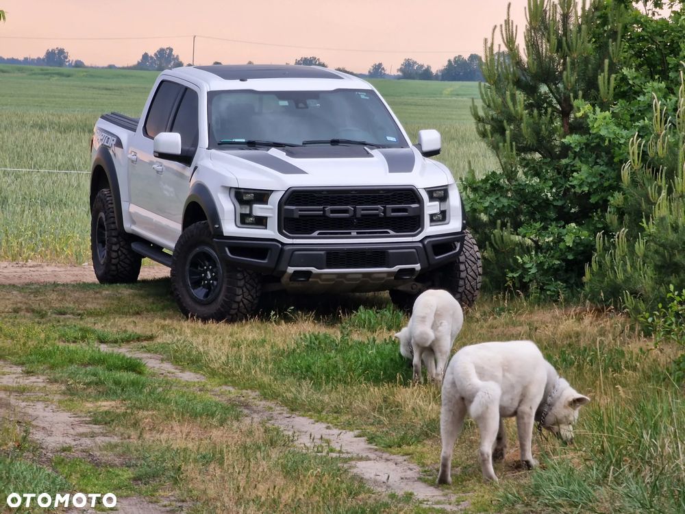 Ford F150 - 1