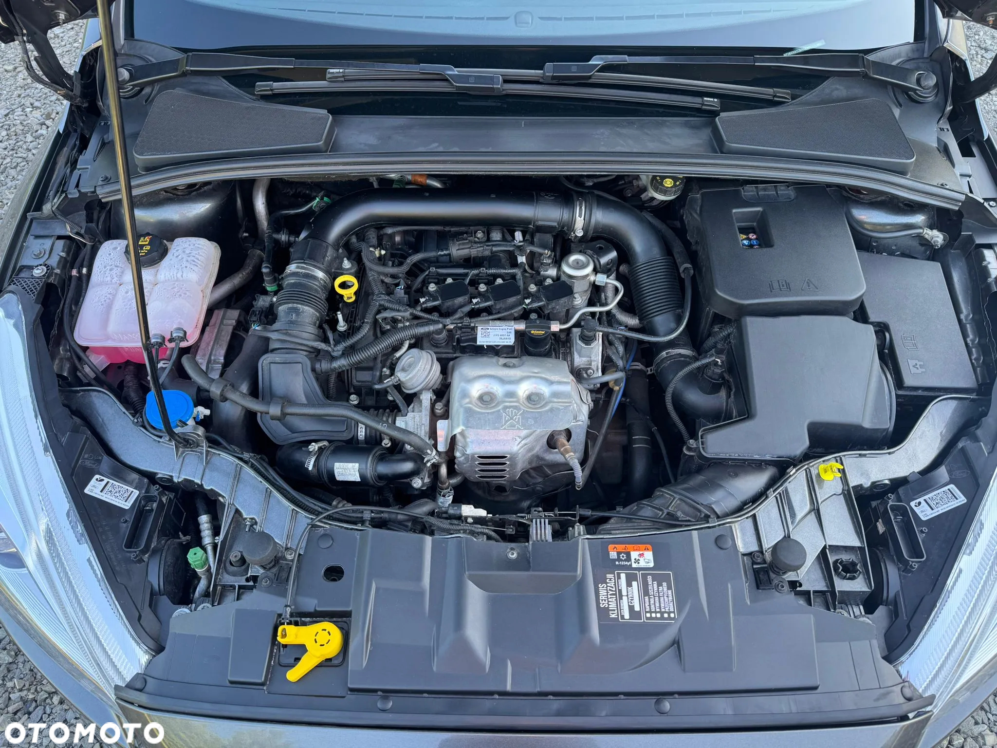 Ford Focus 1.0 EcoBoost ST-Line Red ASS - 17