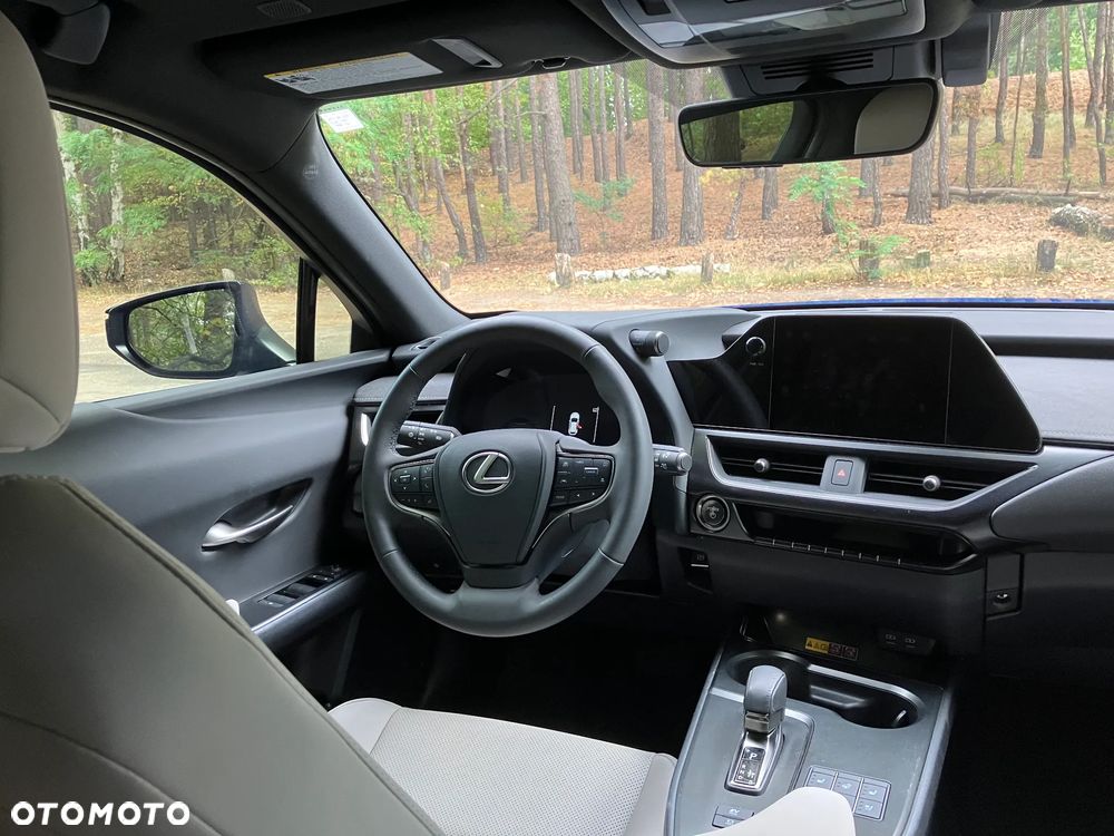 Lexus UX 300h - 9