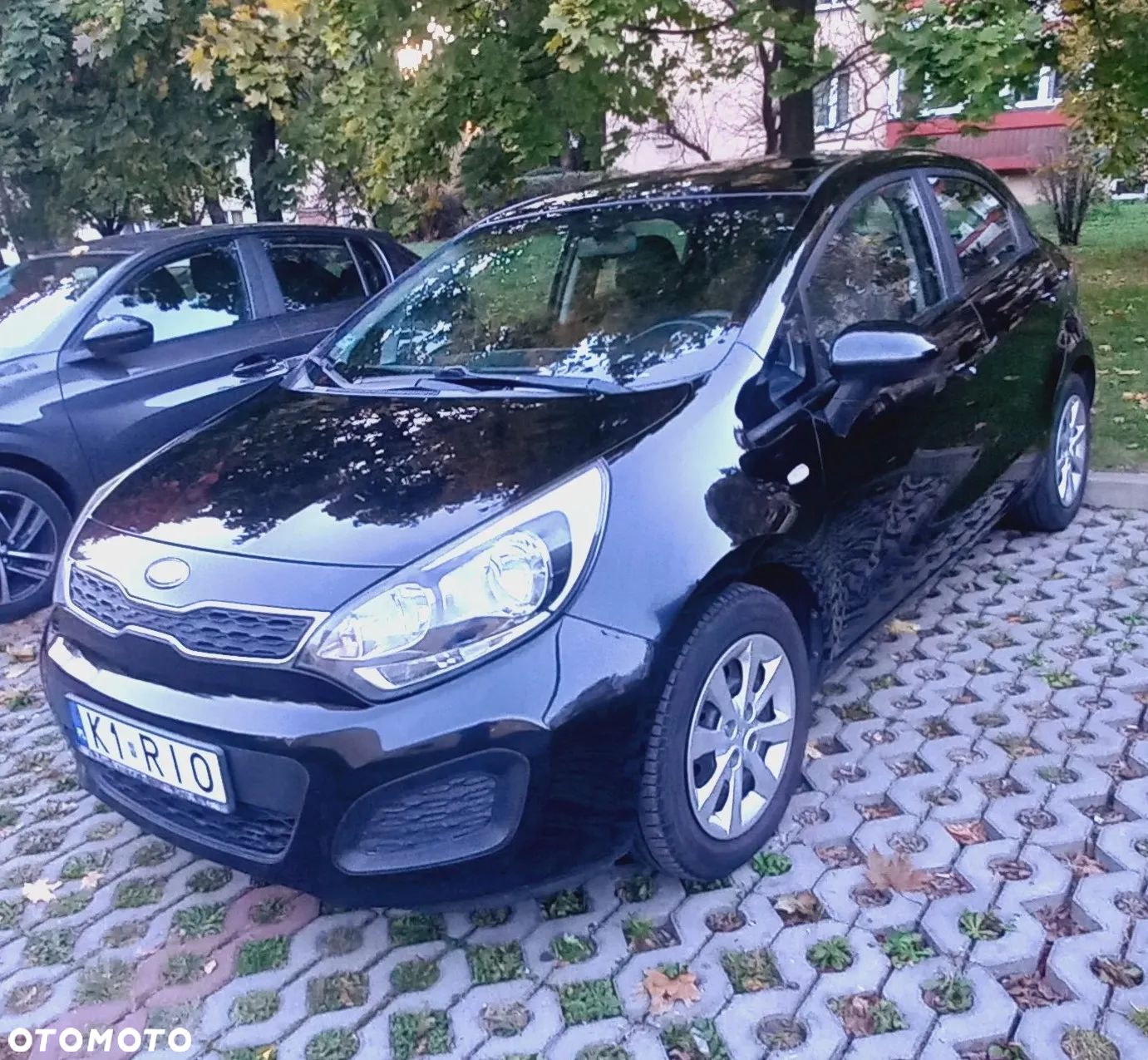 Kia Rio - 1