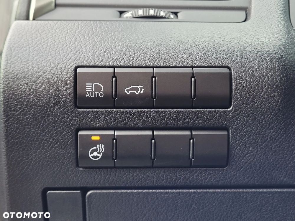 Lexus RX 450h F-Impression - 24