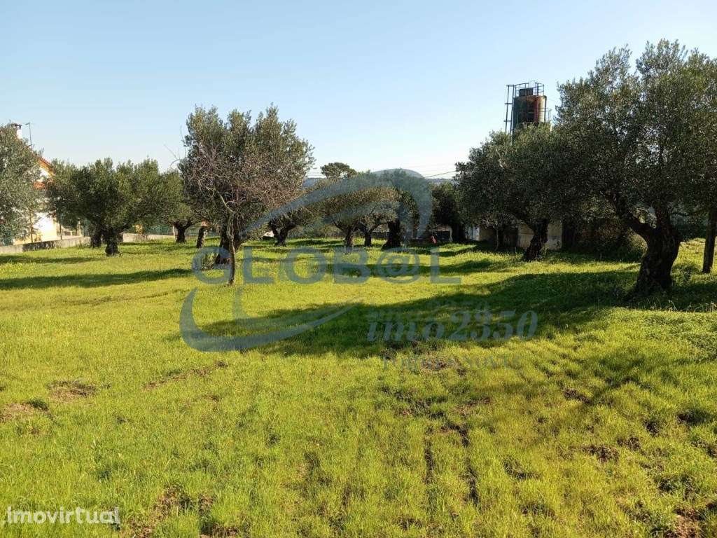 Terreno Venda Torres Novas - Grande imagem: 4/9