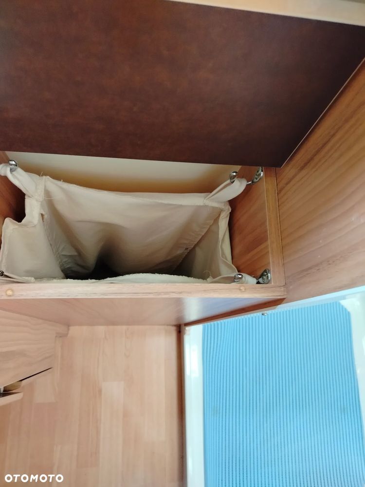 Bailey Unicorn Valencia - 11