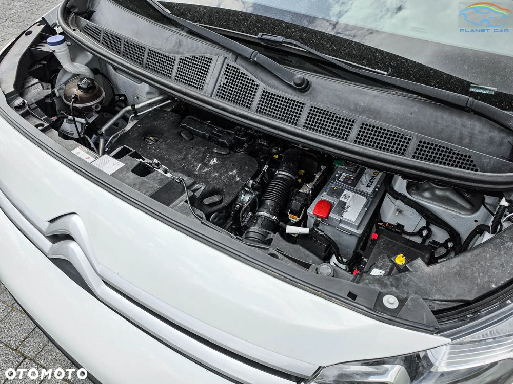Citroën Jumpy III 2.0 BlueHDi 122KM Zabudowa Do Przewozu Zwierząt - 16