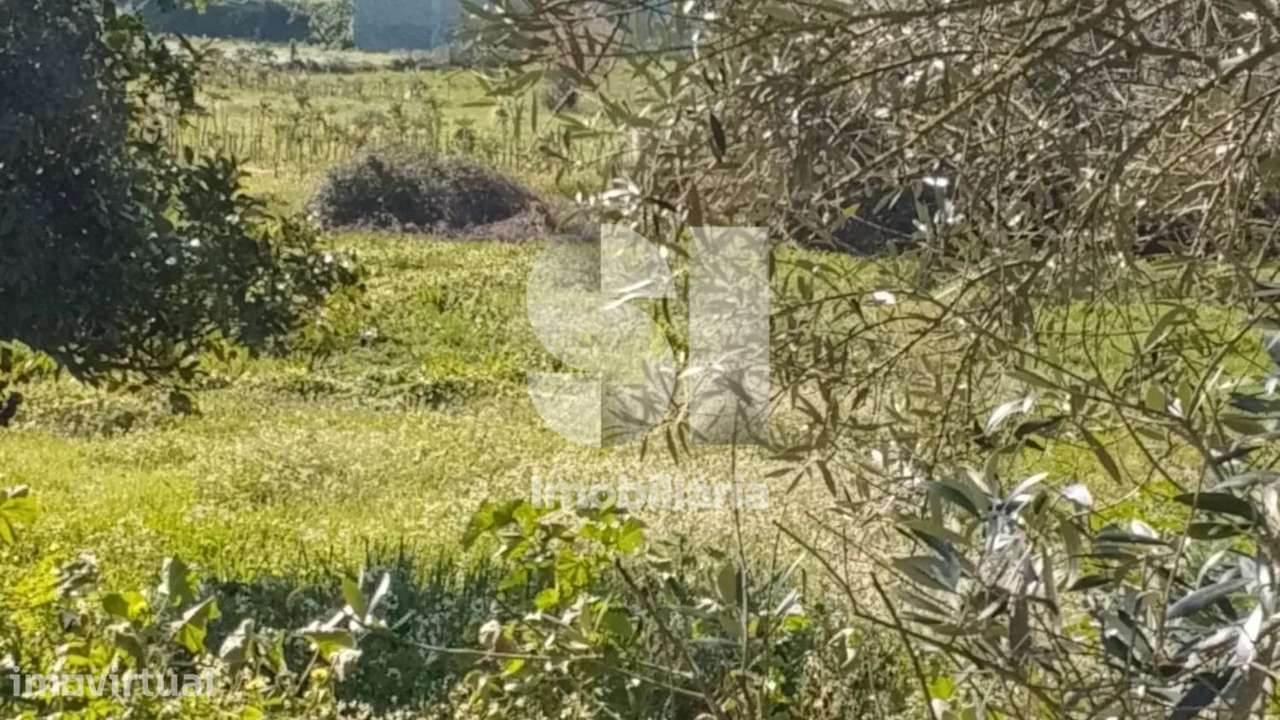 Terreno Urbano para Construção - Grande imagem: 3/3