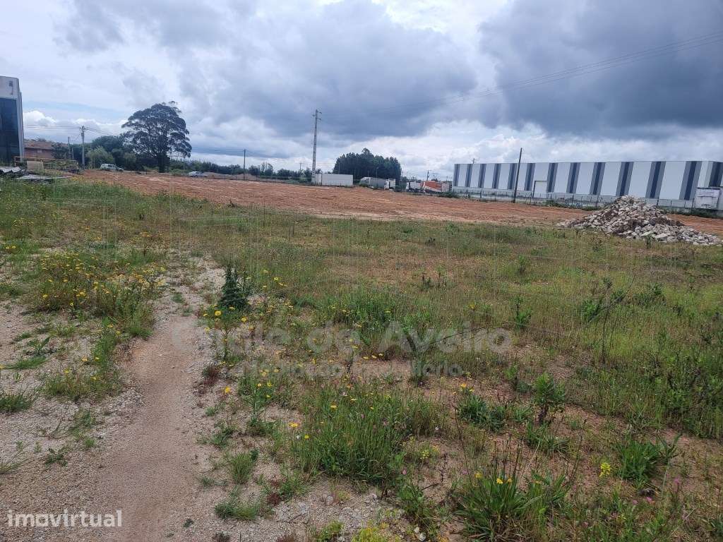 Armazém Industrial (Albergaria-a-Velha) - Grande imagem: 3/9