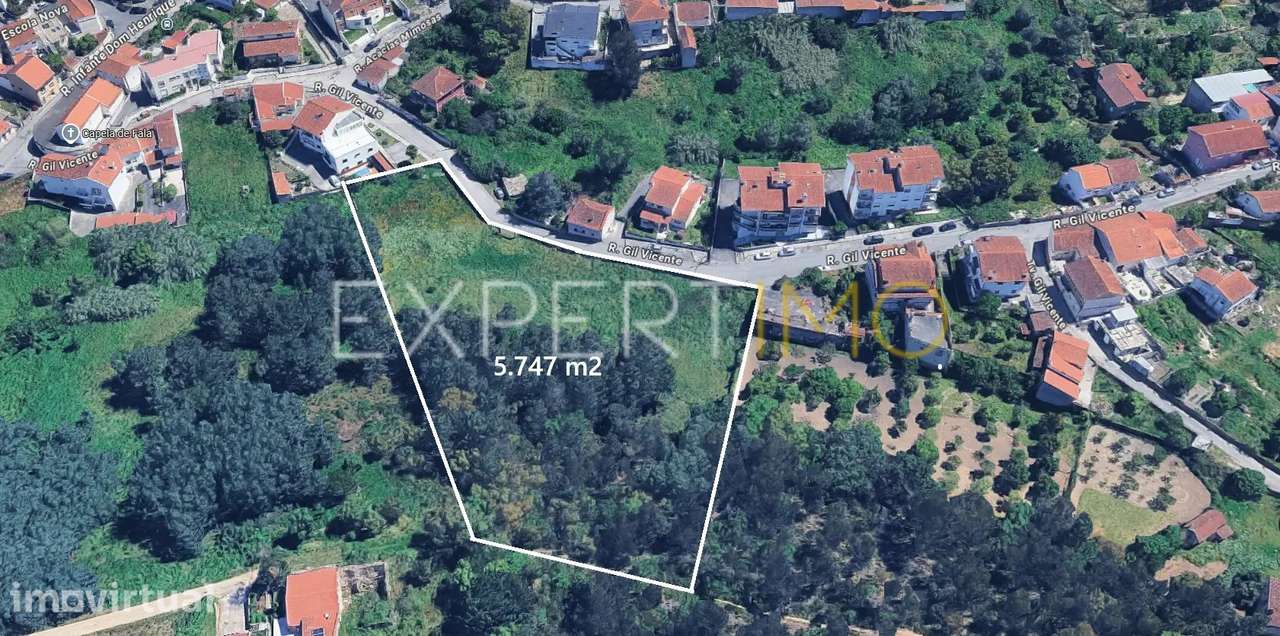 Terreno com Viabilidade Construção - 5747 m2 - Fala São Martinho do... - Grande imagem: 2/21