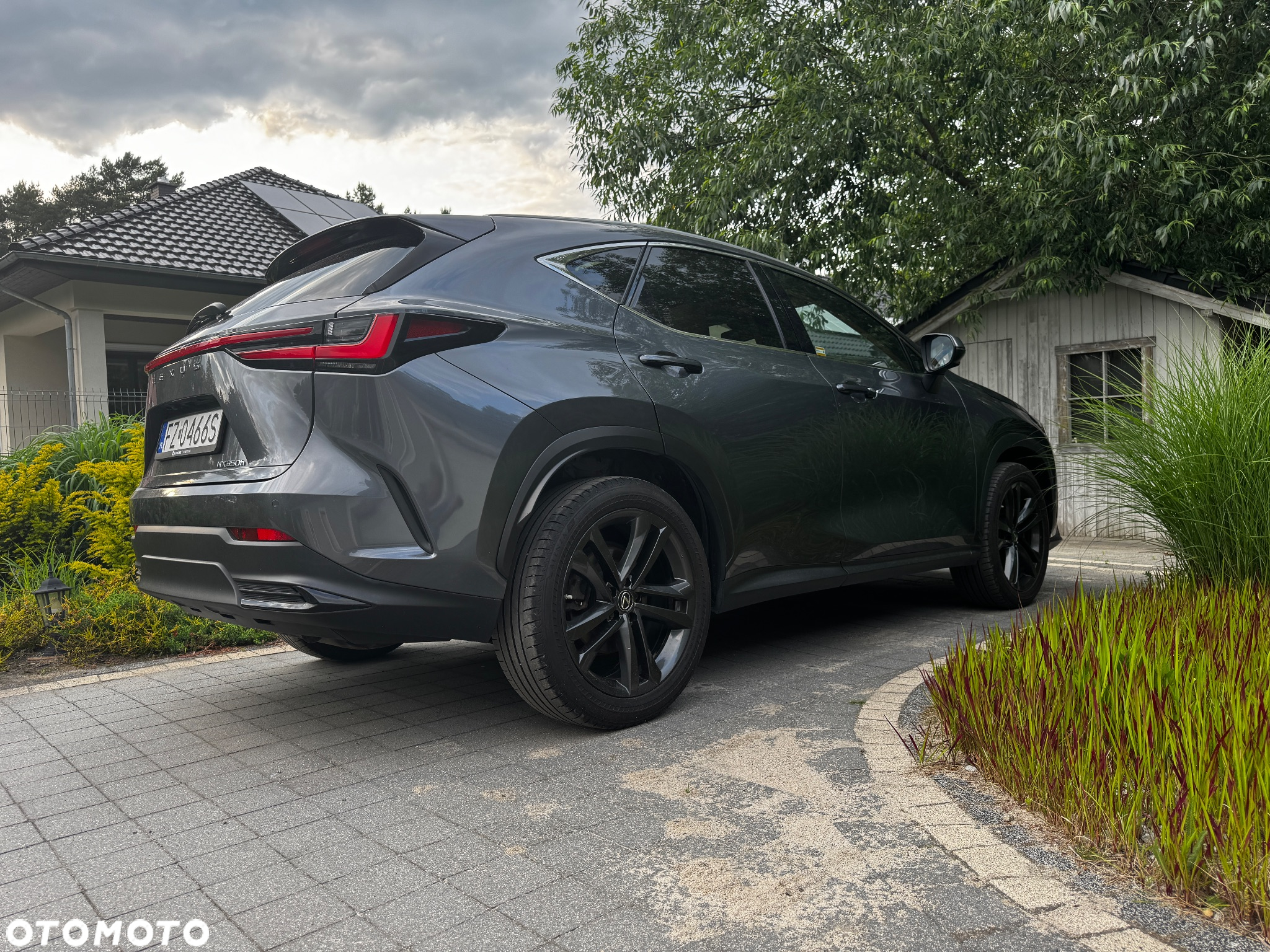 Lexus NX 300 GPF Prestige AWD - 6