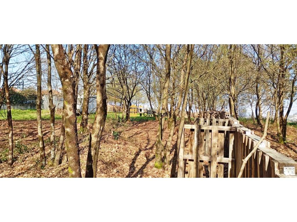 Terreno Para Construção de Moradias em Lodares - Grande imagem: 5/7