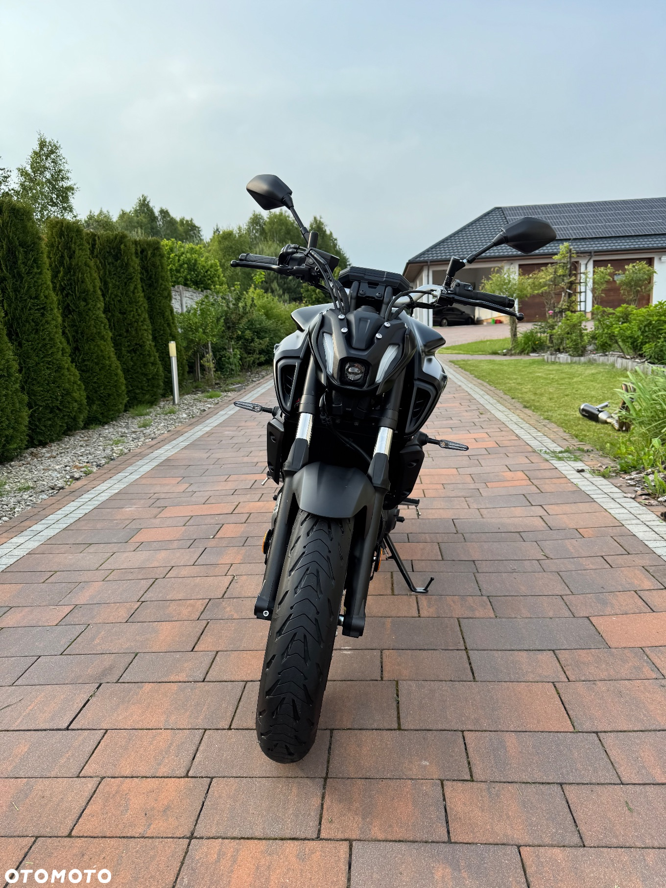 Yamaha MT - 6