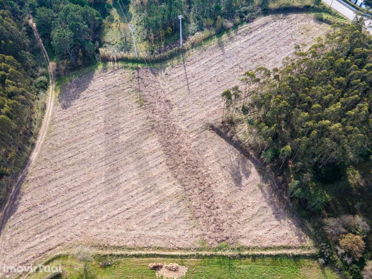 Terreno Rústico em Localização Privilegiada na Foz do Arelho - Grande imagem: 4/15