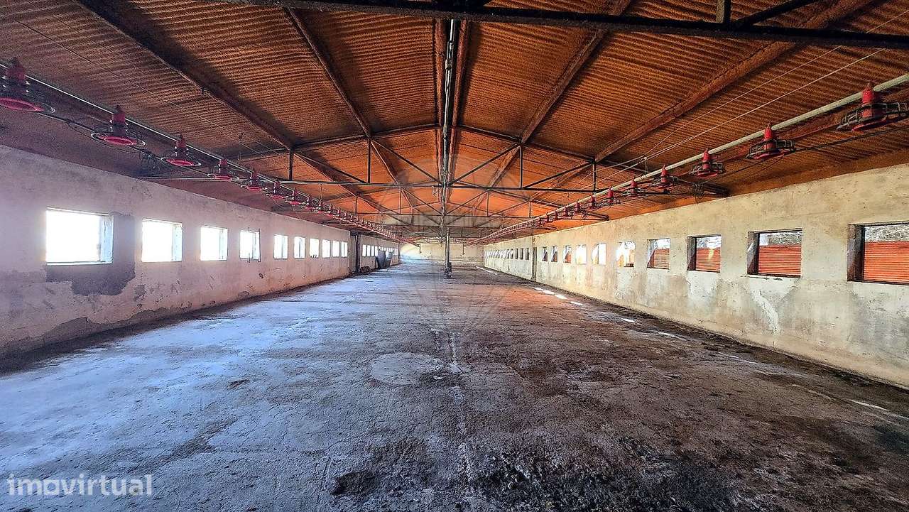 Armazém  para venda - Grande imagem: 4/16