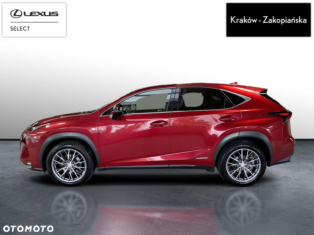 Lexus NX 300h F Sport AWD - 5