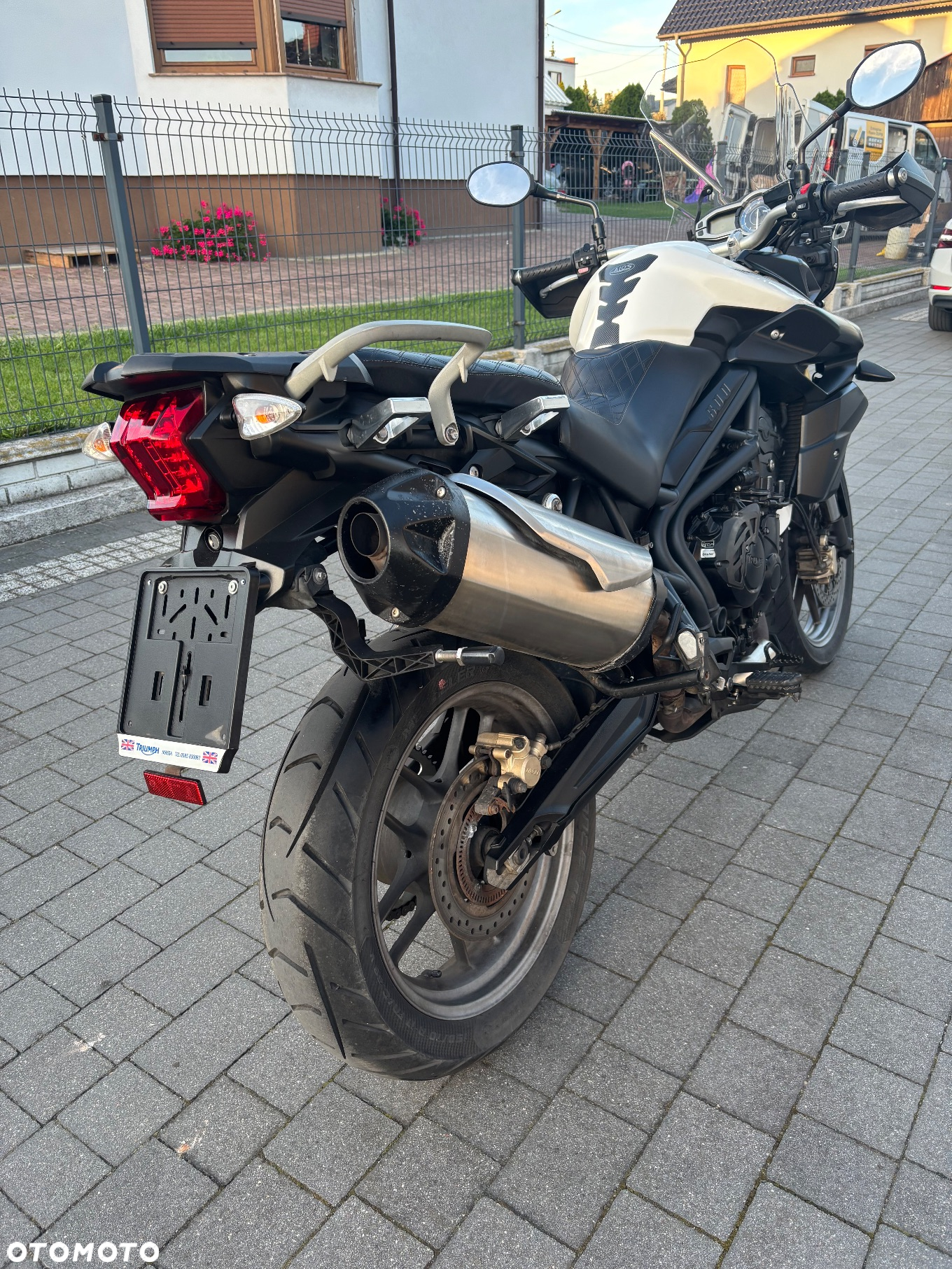 Triumph Tiger - 14