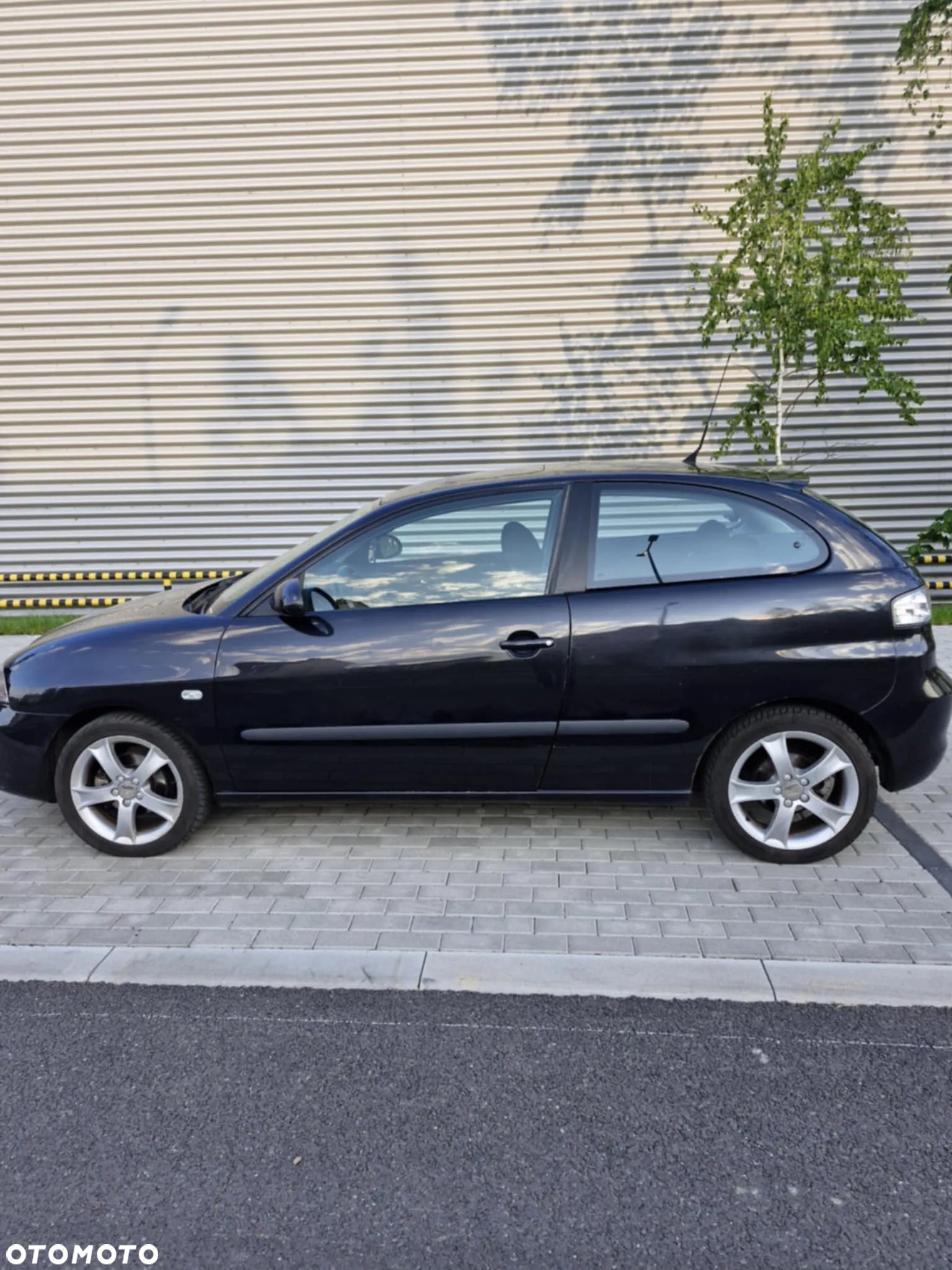 Seat Ibiza 1.4 16V 100 Sport - 19