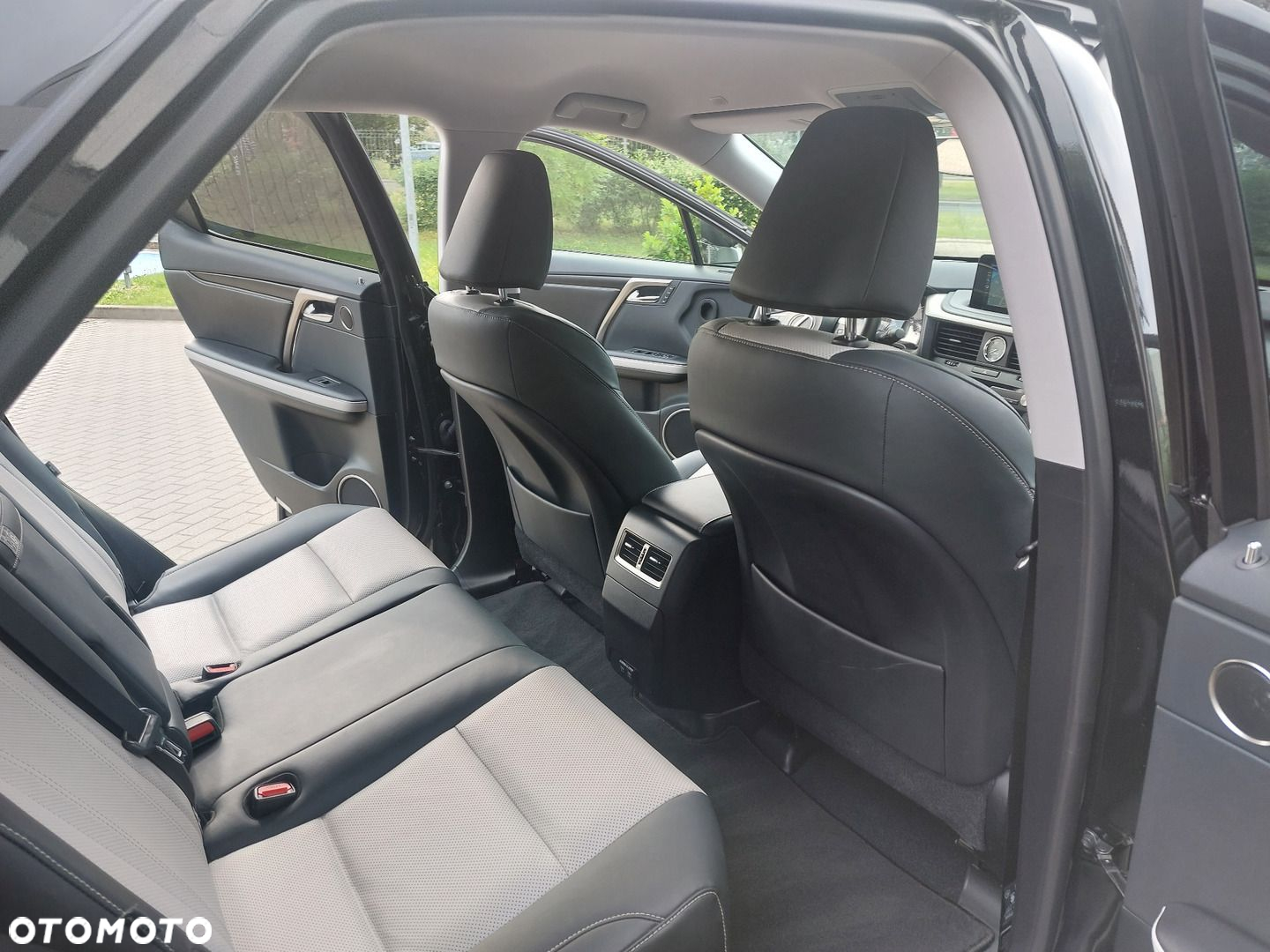 Lexus RX 450h F-Impression - 19