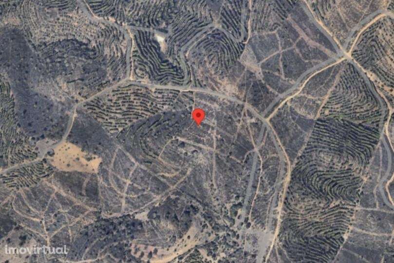 Terreno Rústico com 7060m2 entre Pereiro e Alcoutim. - Grande imagem: 2/3