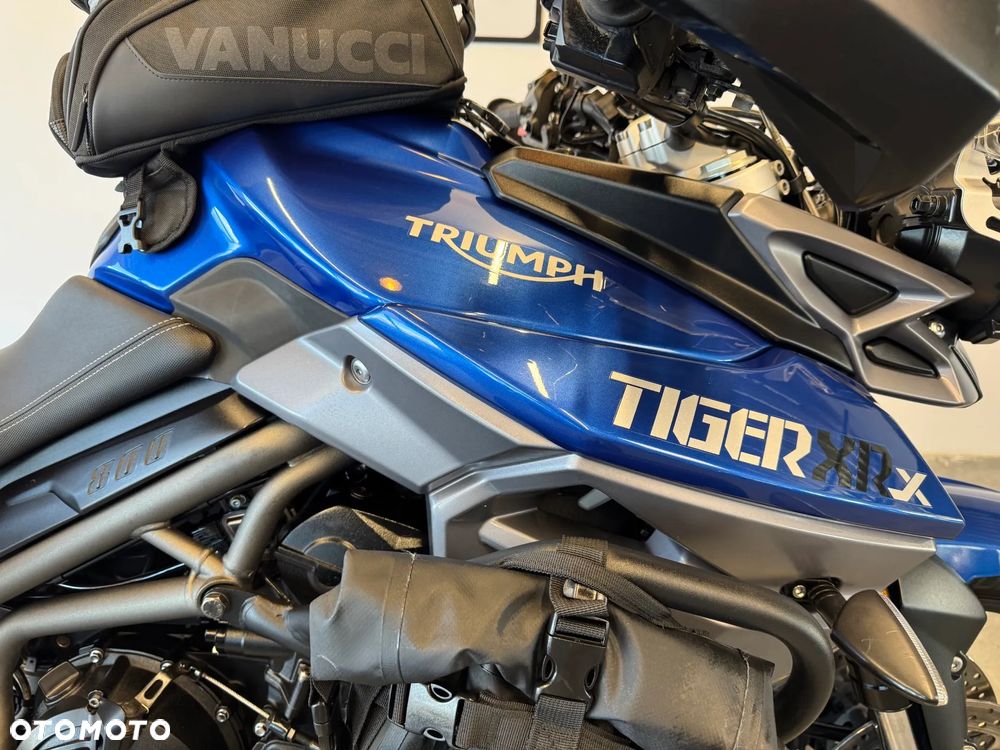 Triumph Tiger - 11