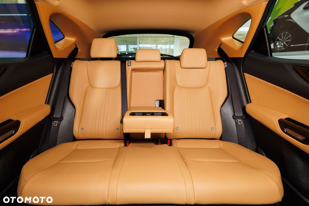 Lexus NX - 19
