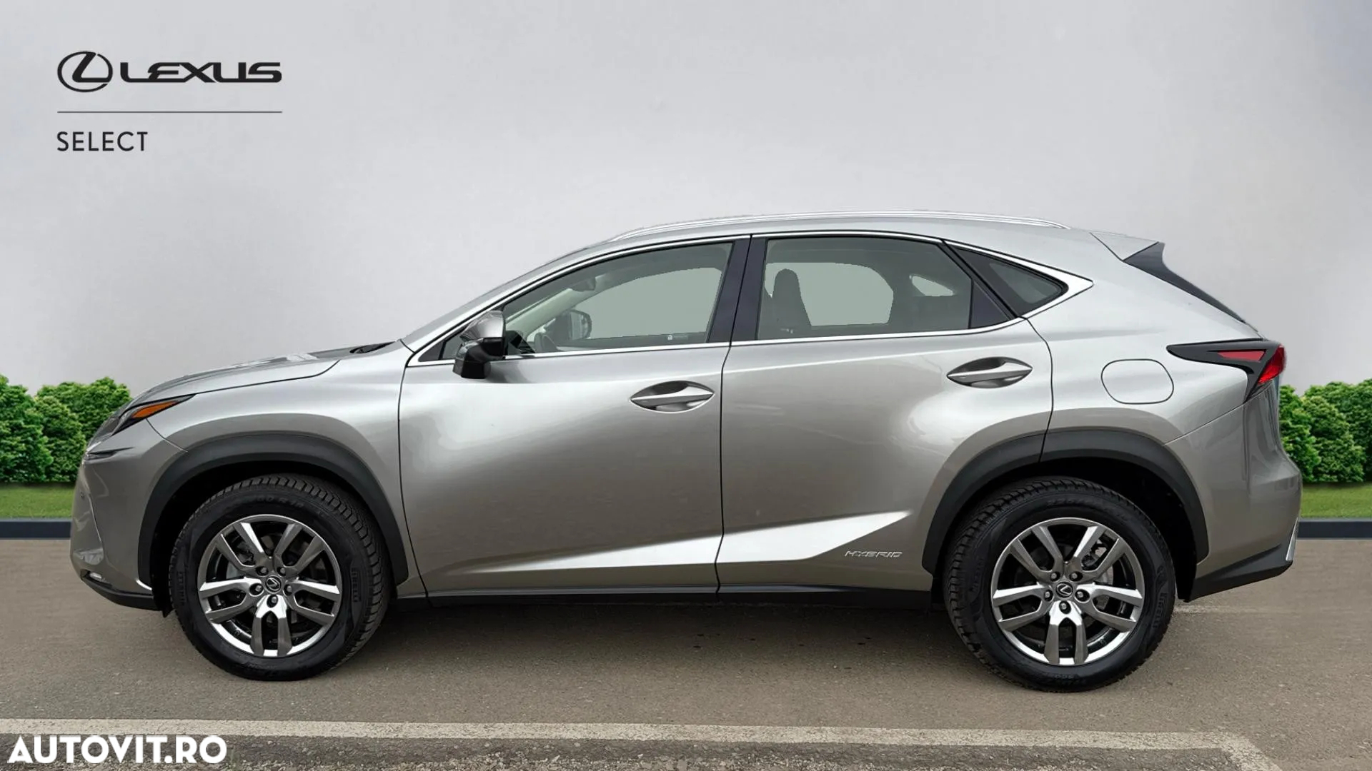 Lexus Seria NX 300h AWD Executive Plus - 2