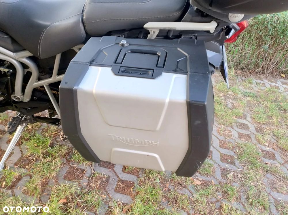 Triumph Tiger - 12
