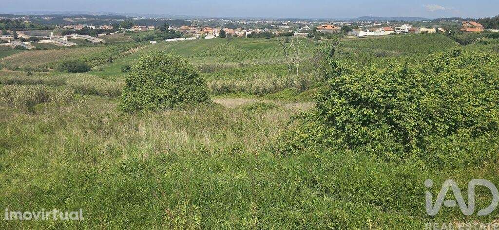Terreno Agrícola em Vilar - Grande imagem: 4/9