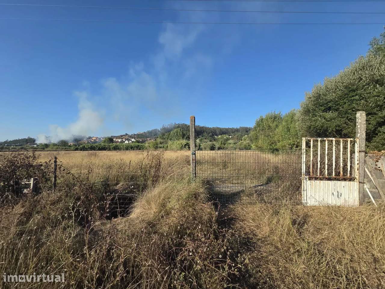 Casa Antiga || Quintinha com 7000 m2 || Vermoil, Pombal - Grande imagem: 3/10