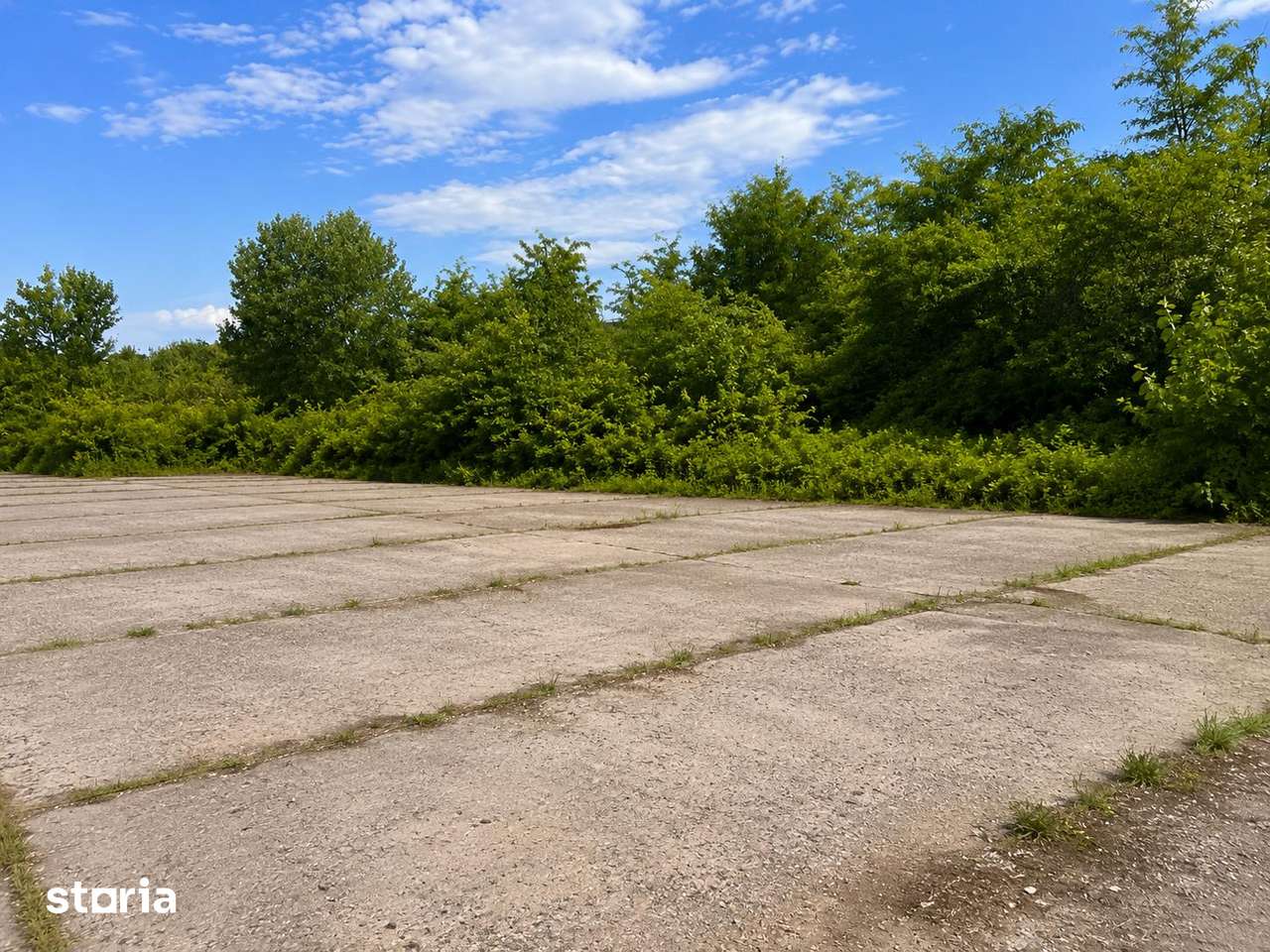 11.180 mp INTRAVILAN DRĂGĂȘANI | PLATFORMĂ BETONATĂ | UTILITĂȚI - Imagine principală: 5/6