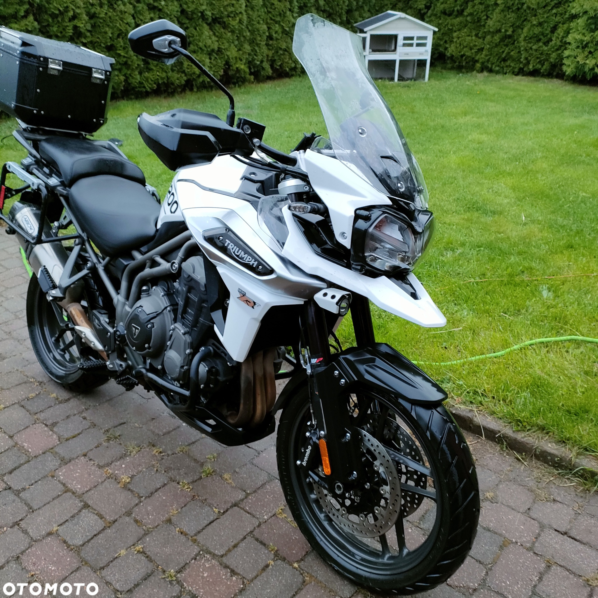 Triumph Tiger