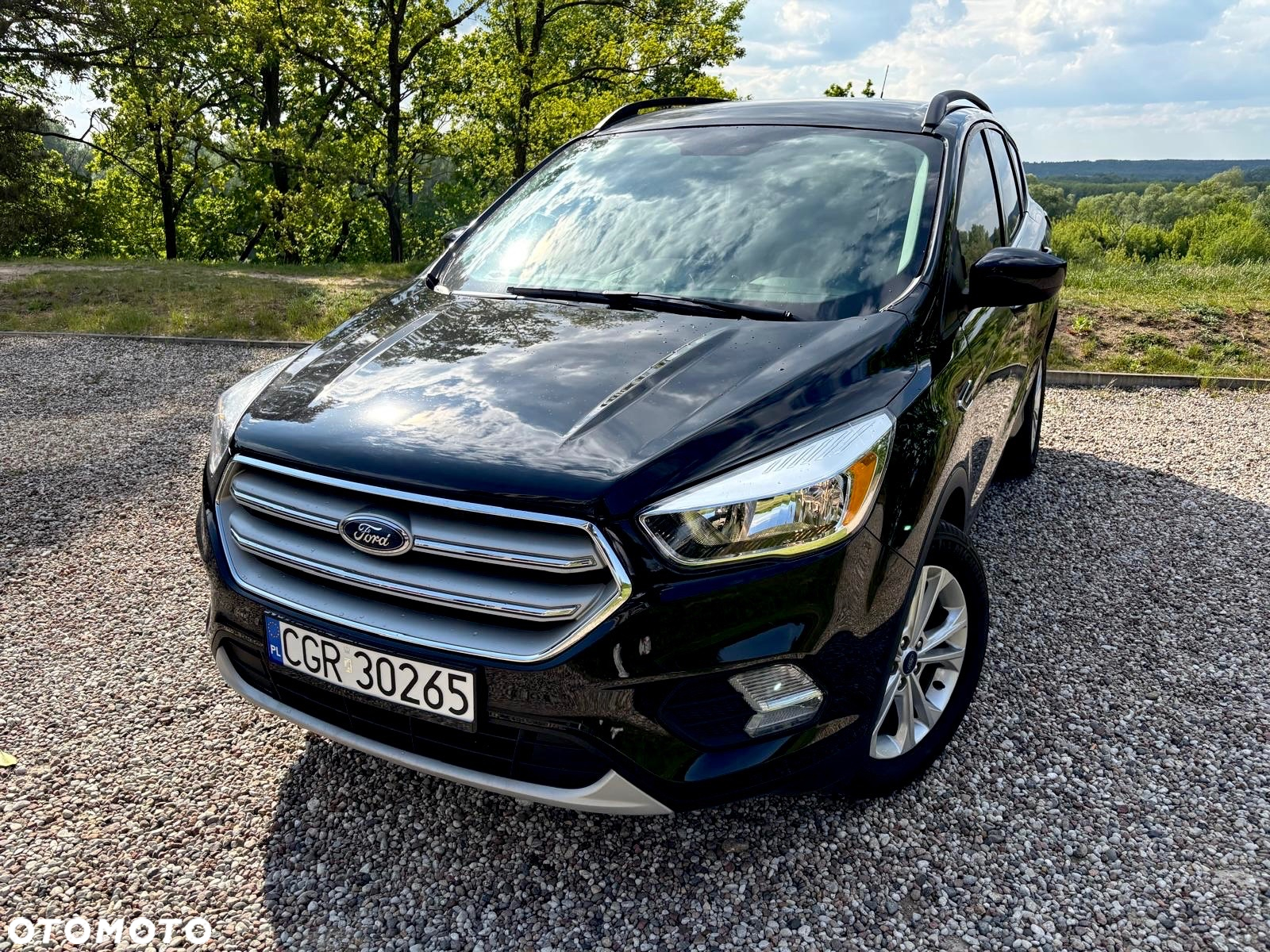 Ford Kuga 1.5 EcoBoost AWD Trend ASS - 5
