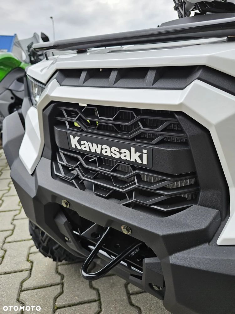 Kawasaki Brute Force