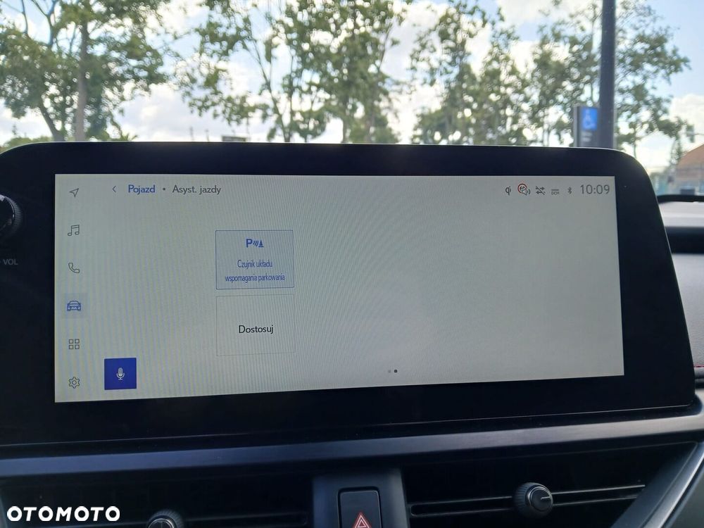 Lexus UX 300h F Sport AWD - 24
