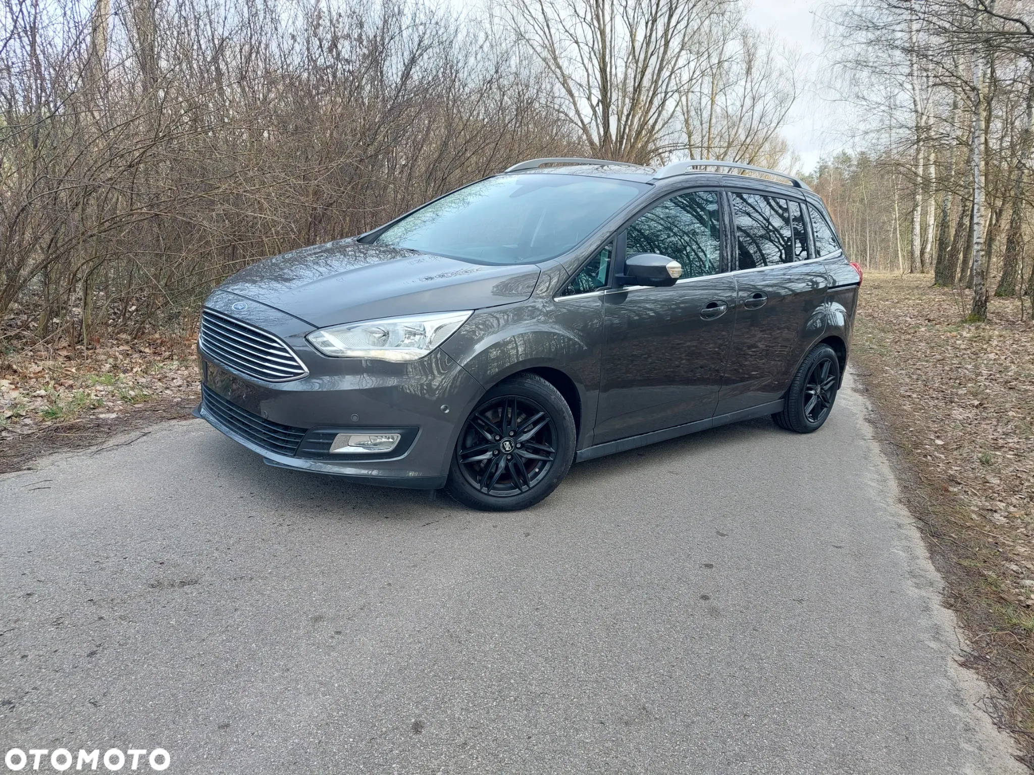 Ford Grand C-MAX 1.5 EcoBoost Start-Stopp-System Business Edition - 3