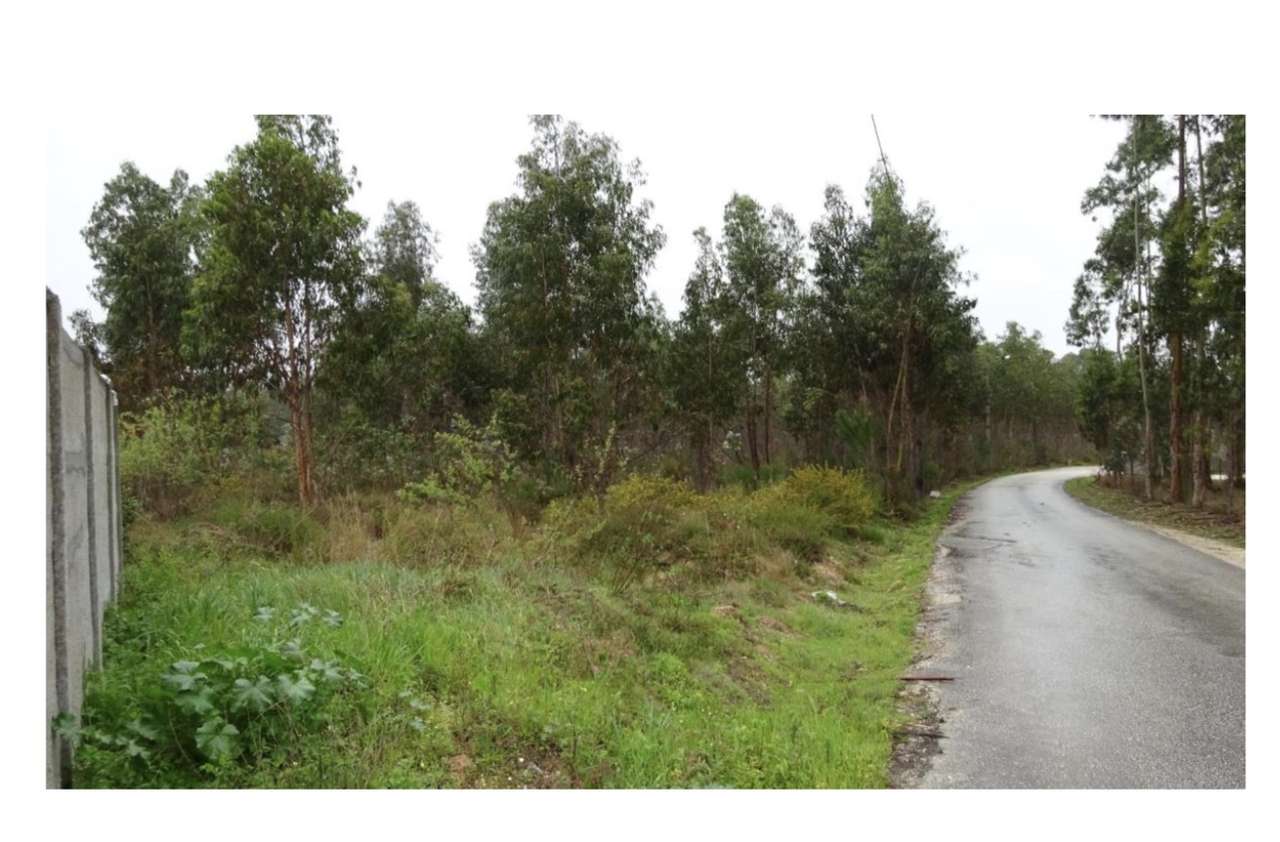 Terreno urbanizável no Carriço, Pombal - Grande imagem: 5/9